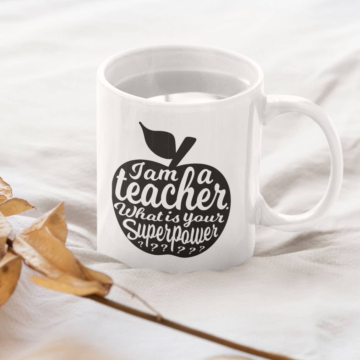 Teacher Superpower Kopp
