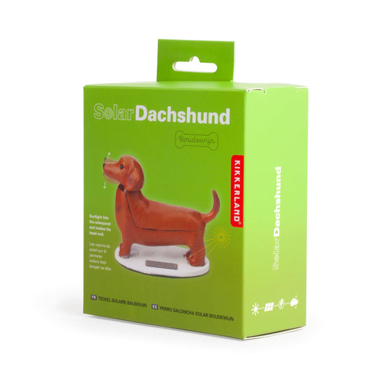 Solar Dachs