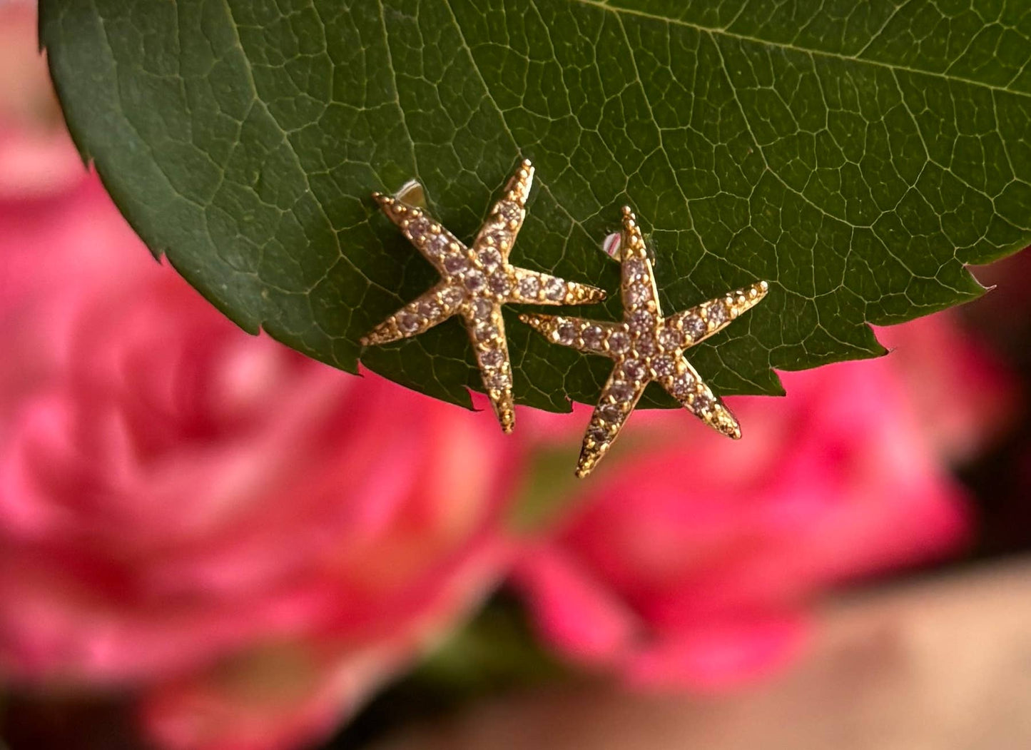 Star Fish Øreringer
