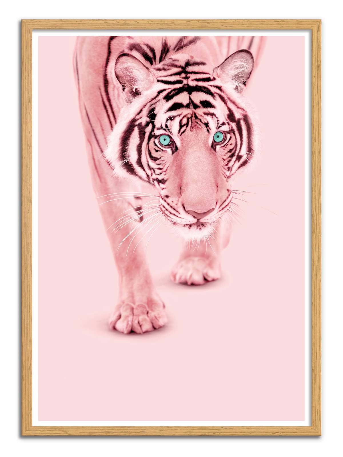 Pink Tiger Plakat