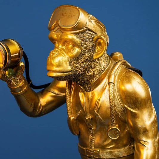 Diver Dan Lampe