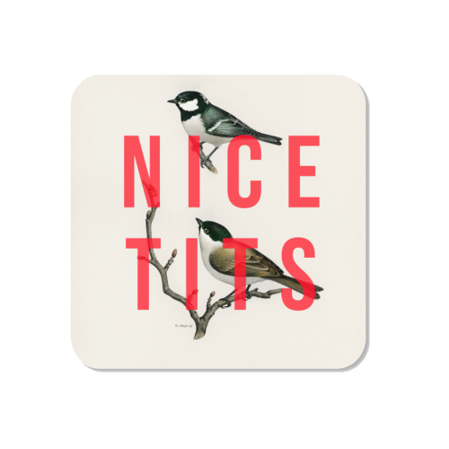 Nice Tits Magnet