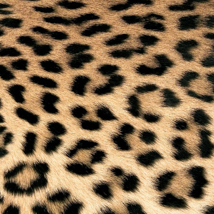 Leopard Servietter