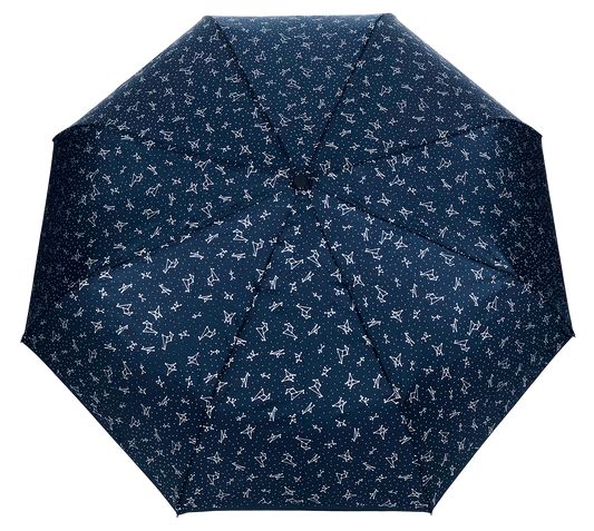 Silver Constellation Paraply