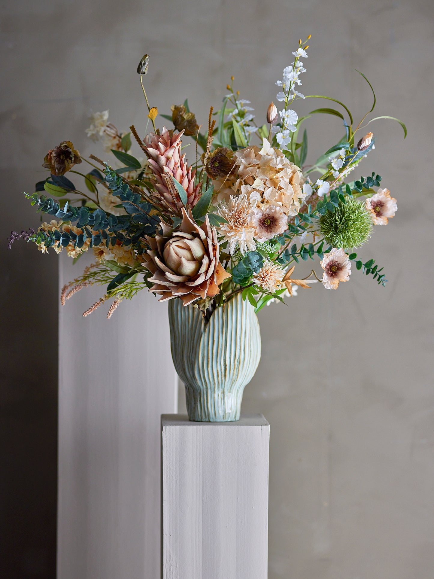 Chrysantemum Stilk, Natur