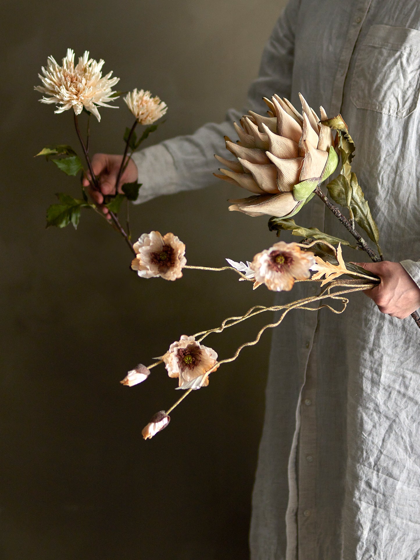 Chrysantemum Stilk, Natur