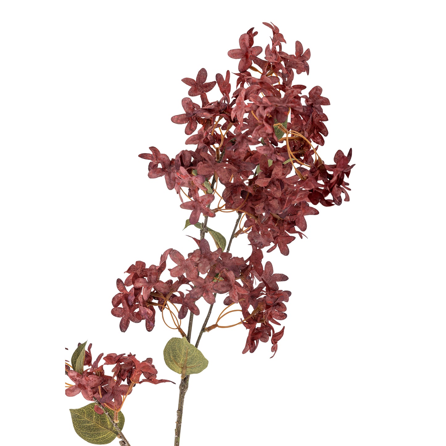Lilla Myrtle Gren
