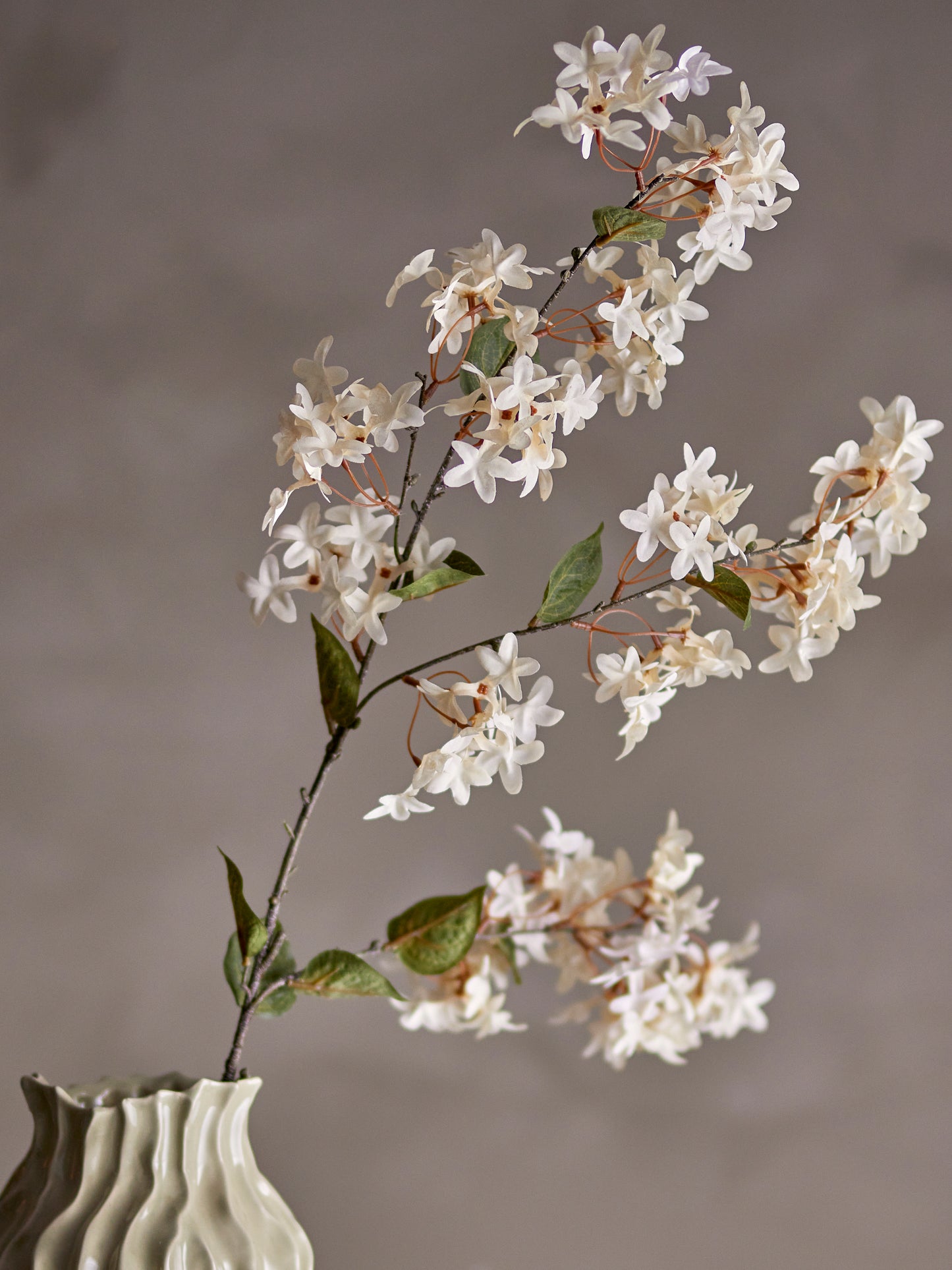 Hvit Myrtle Gren