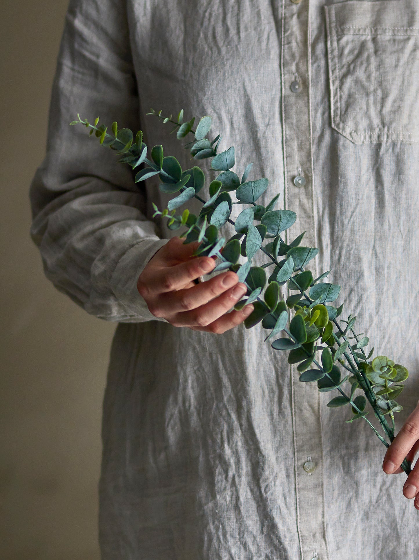 Eucalyptus Stilk