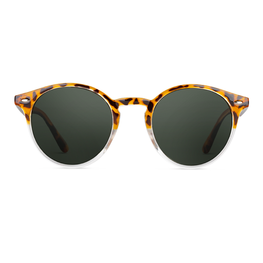 Solbrille Pollock