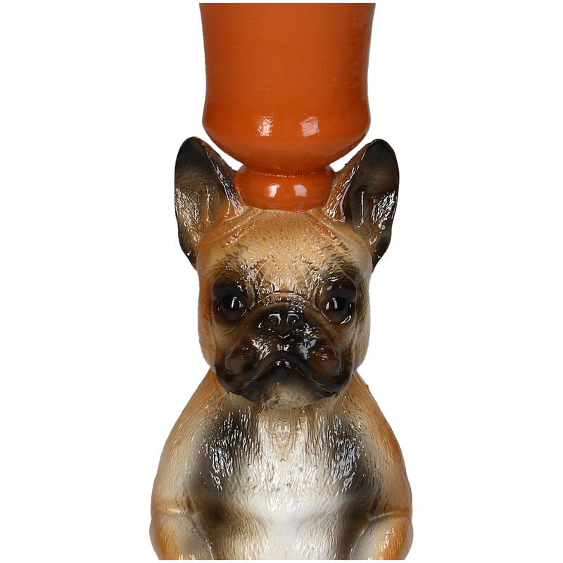 Lysholder Frenchie