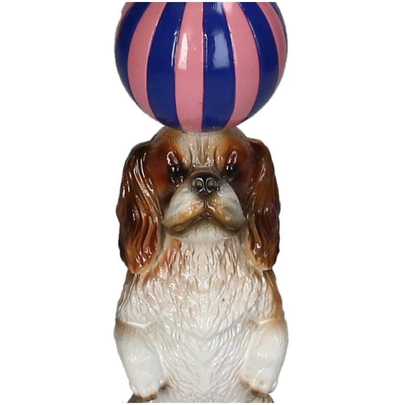 Lysholder Cavalier Dog