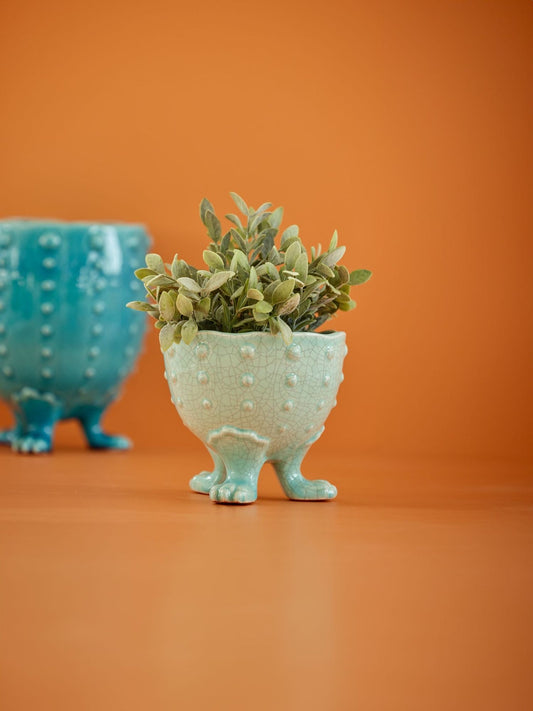 Blomsterpotte Mint