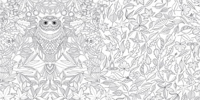 Secret Garden Fargeleggingsbok