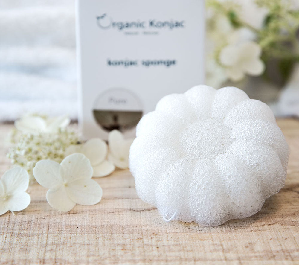 Konjac Babysvamp Blomst