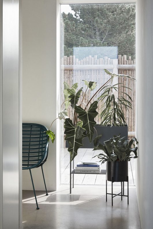 Airy Pots Black Set