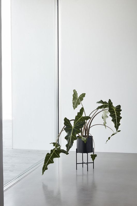 Airy Pots Black Set