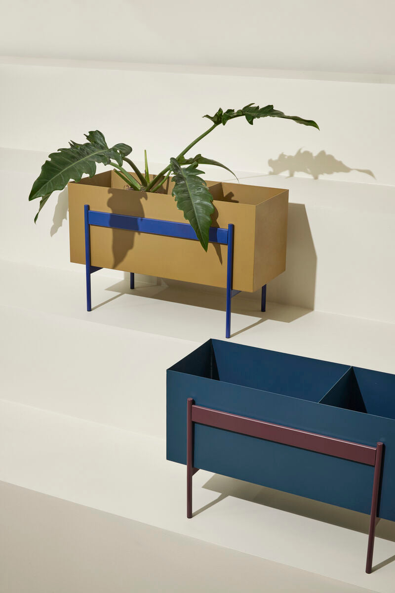 Awe Planter Khaki/Blue