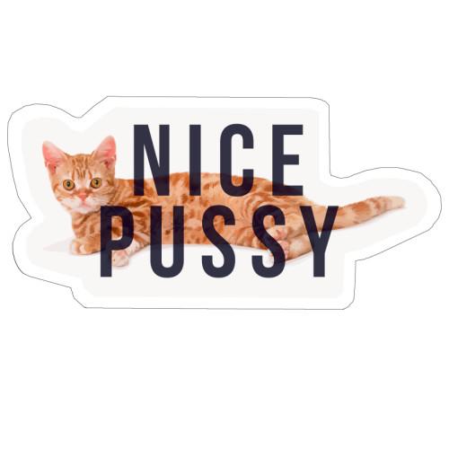 Nice Pussy Klistremerke