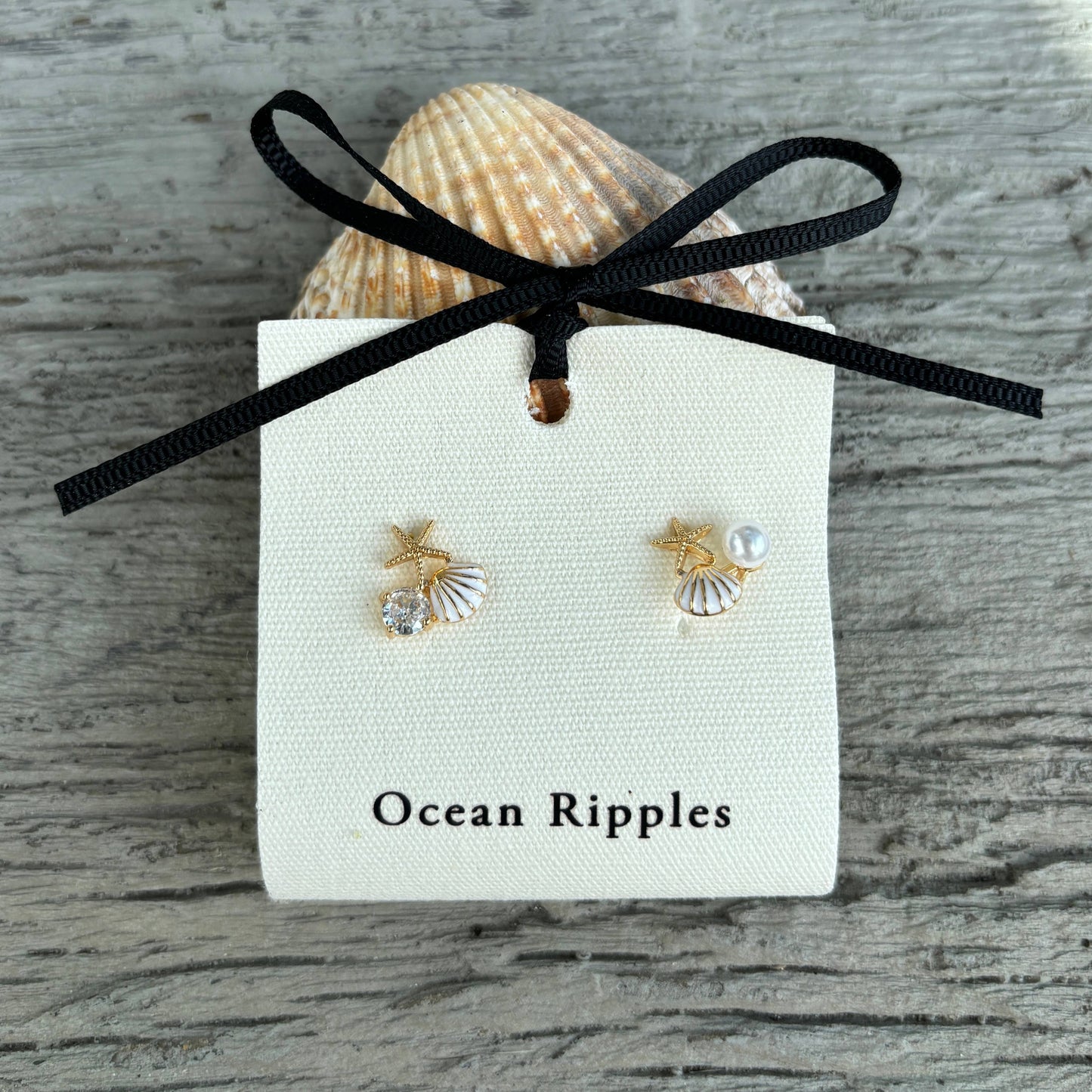 Starfish Shell Øreringer