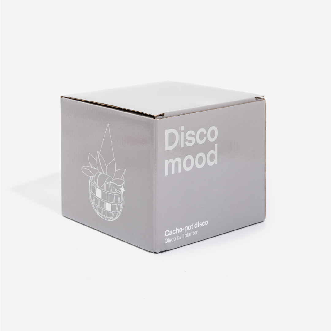 Disco Plantepotte