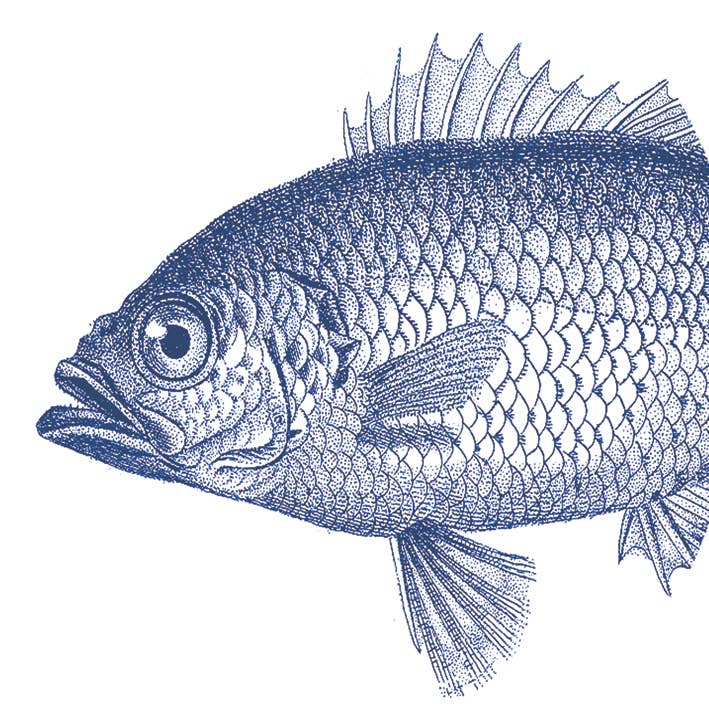 Fish Marine Servietter