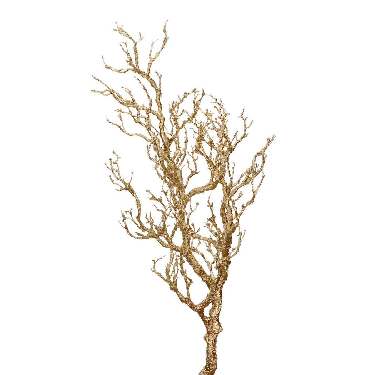 Twig Gold Branch