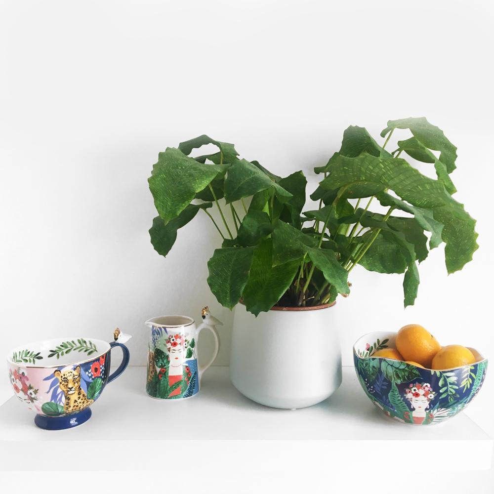 Frida Kahlo Tropical Kopp