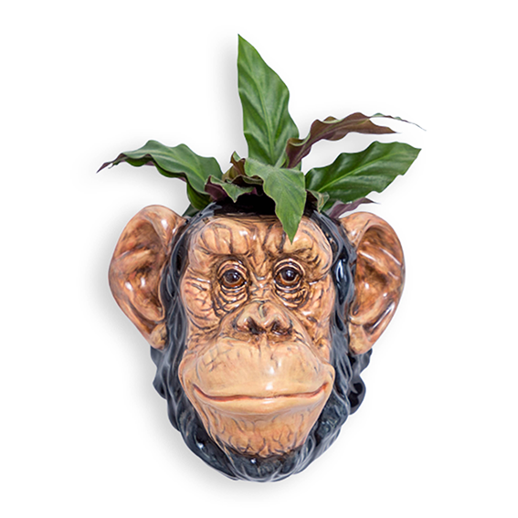 Sjimpanse vase