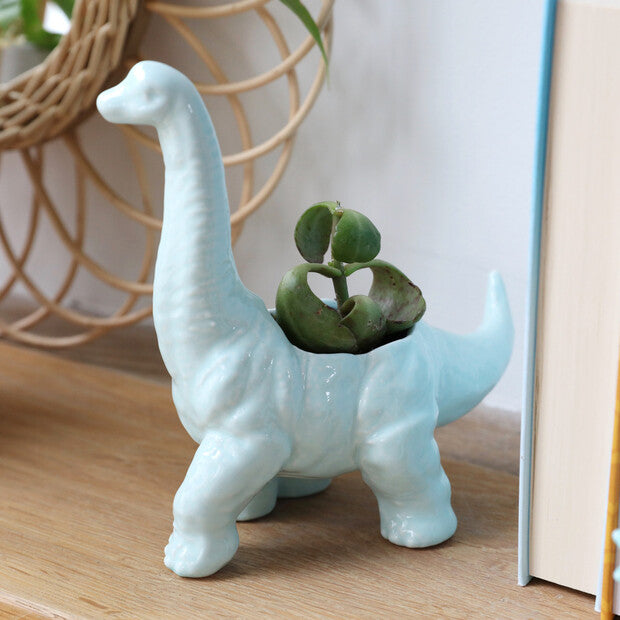 diplodocus mint