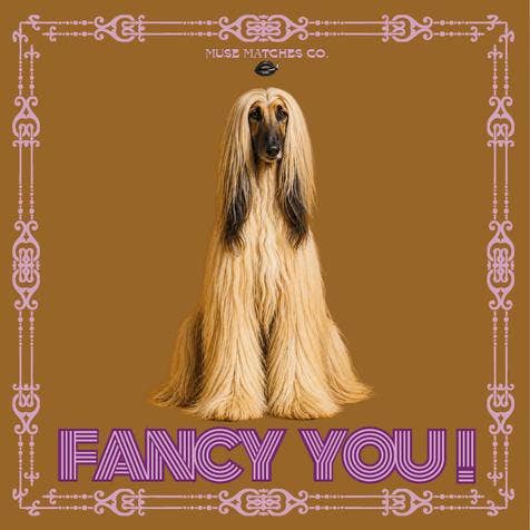Fancy Fyrstikker