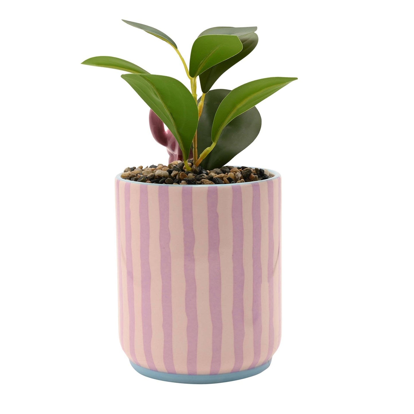 Angel Plantepotte