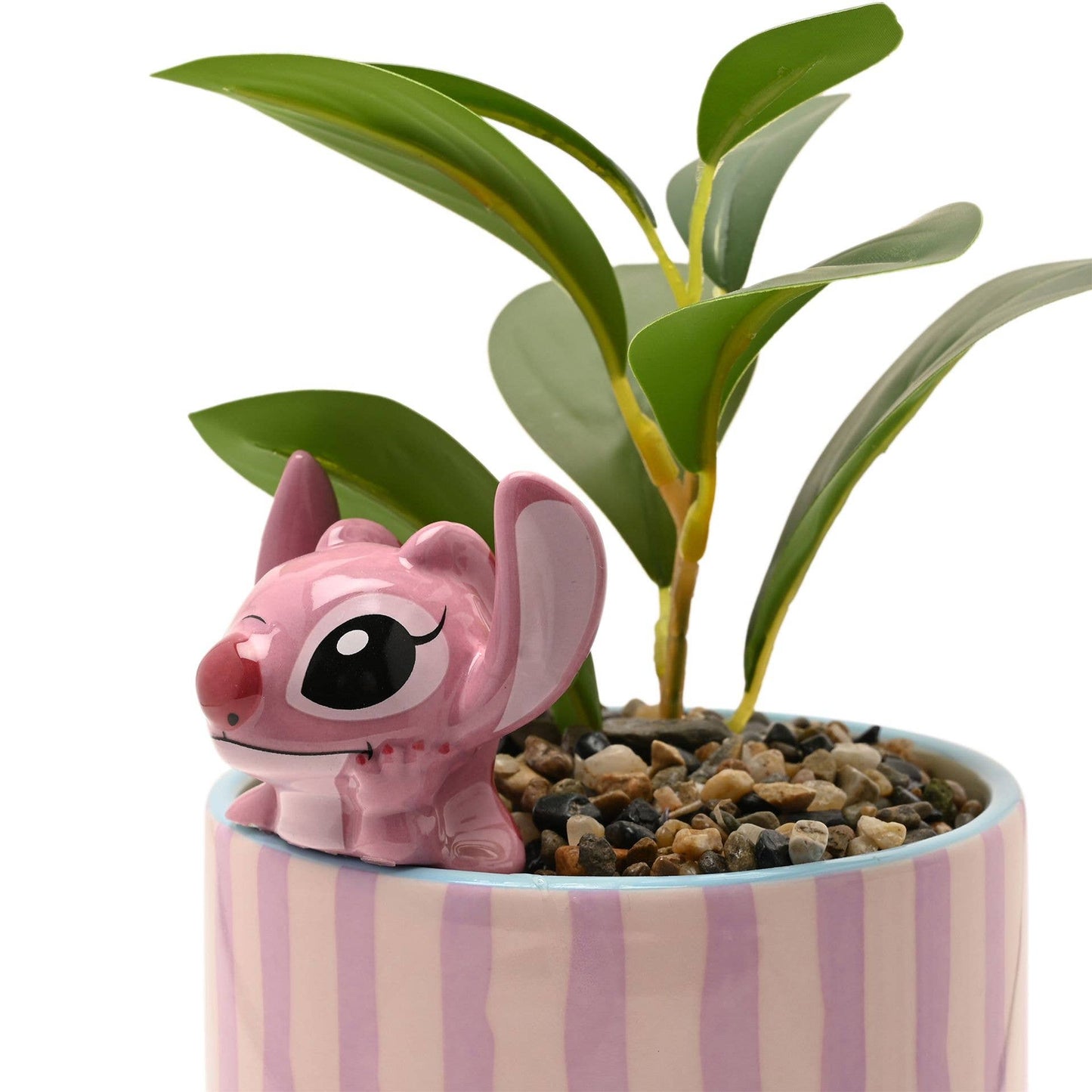 Angel Plantepotte