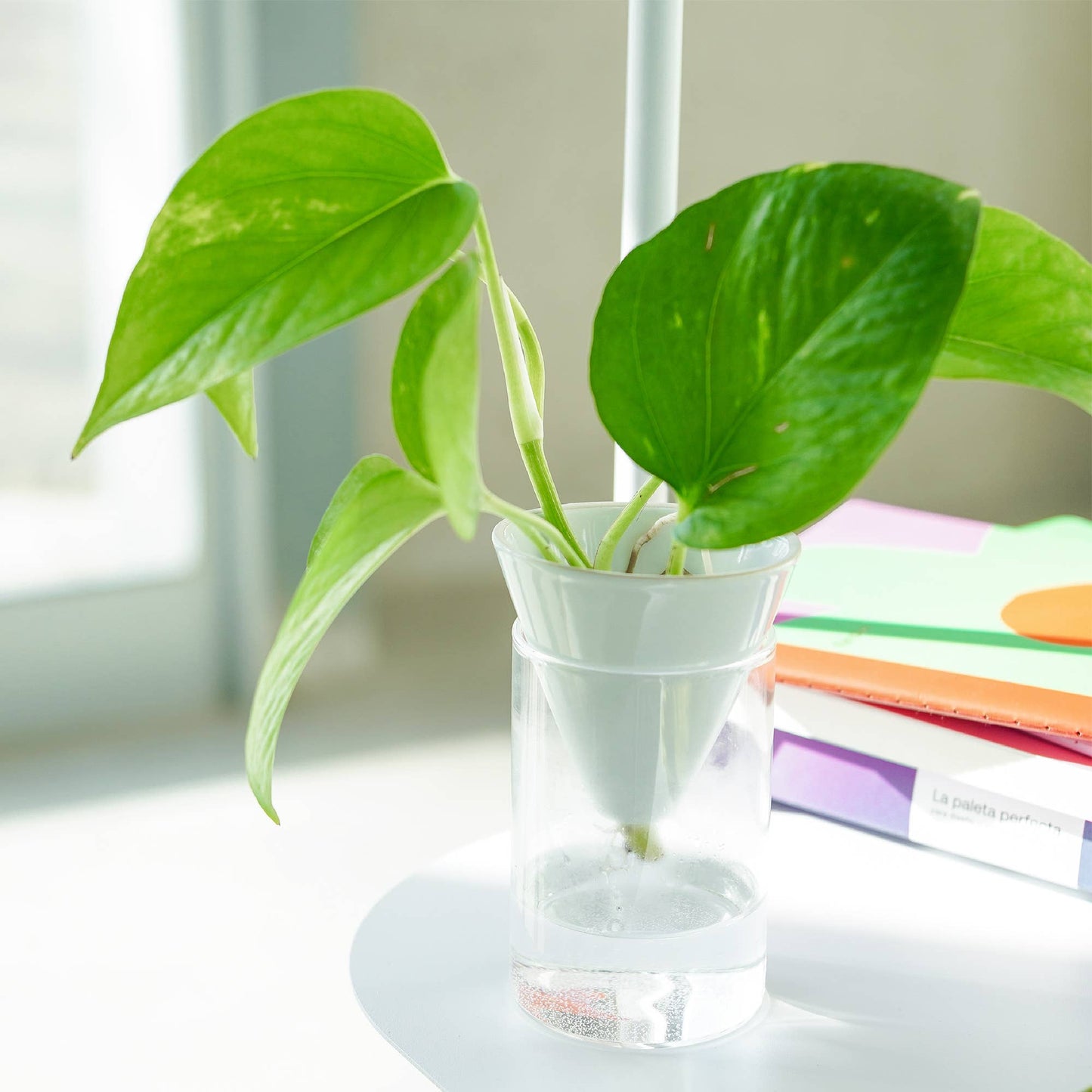 Hvit Cone Vase