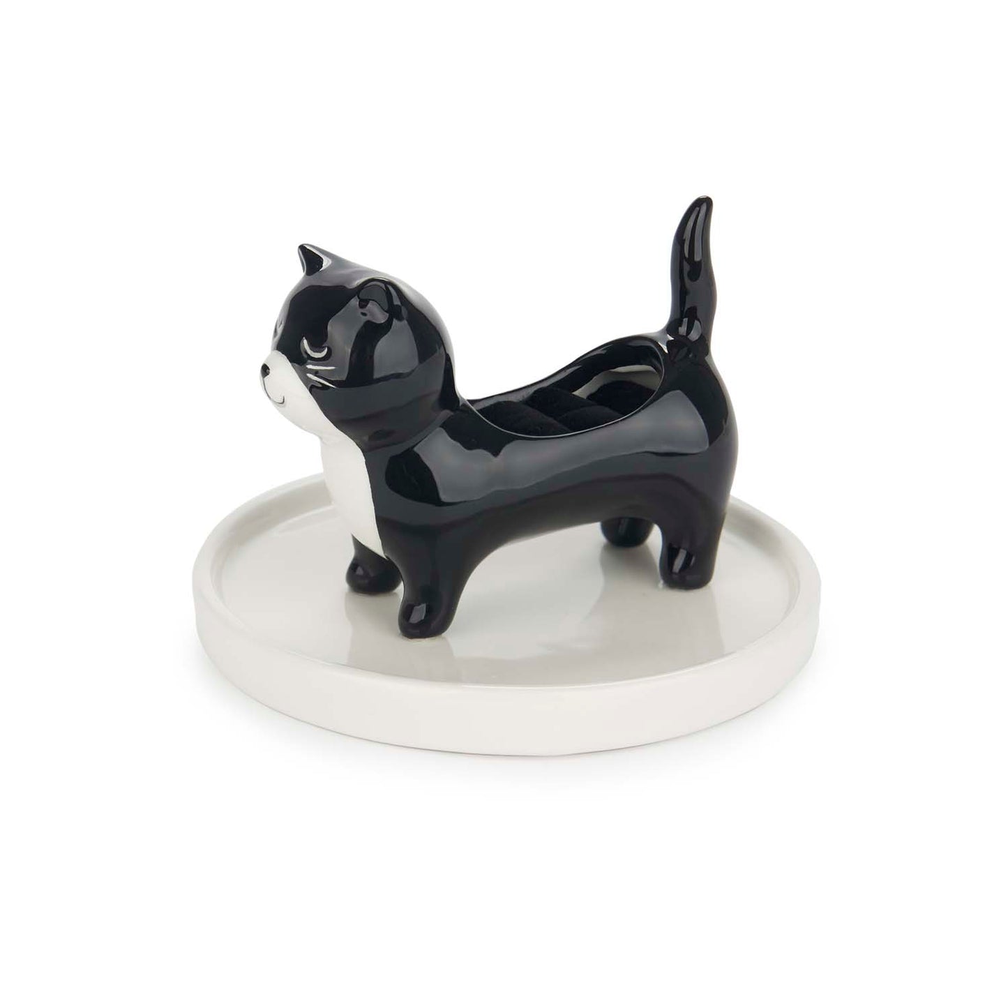 Ringfat Katt