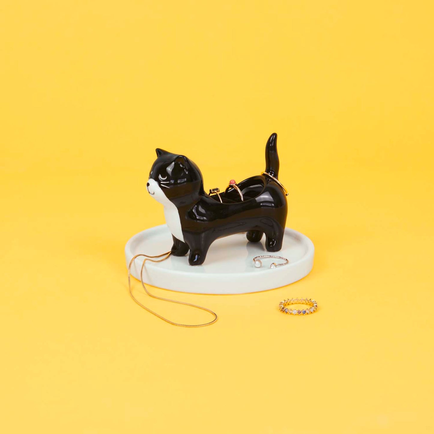 Ringfat Katt