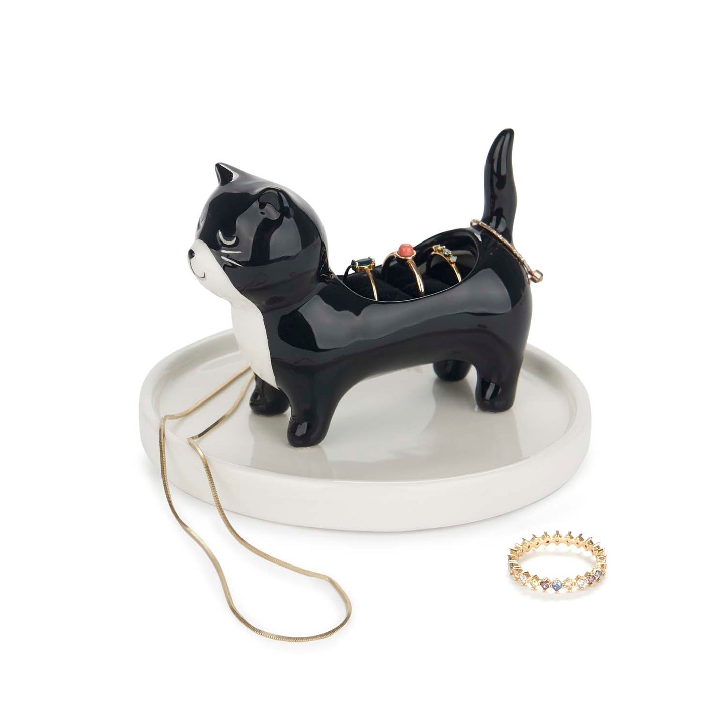 Ringfat Katt