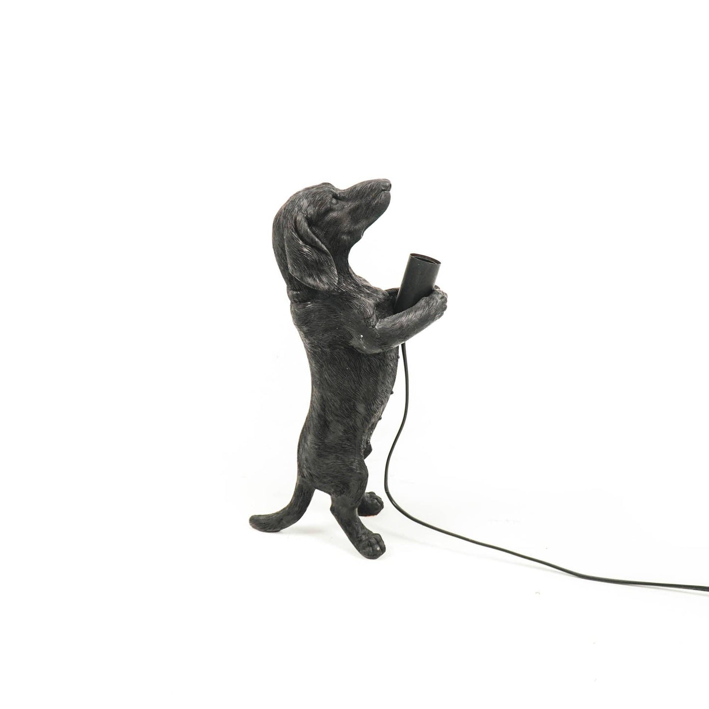 Dachshund Lampe Svart