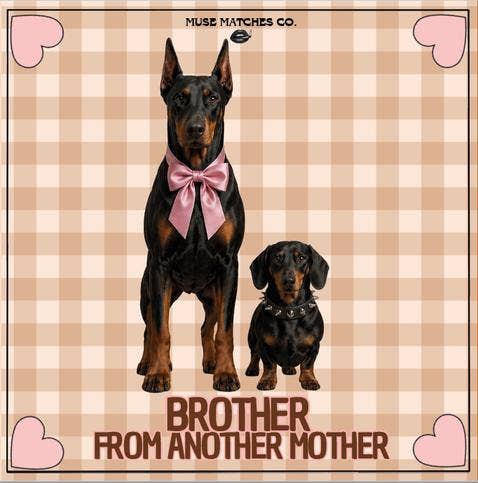 Brother Fyrstikker