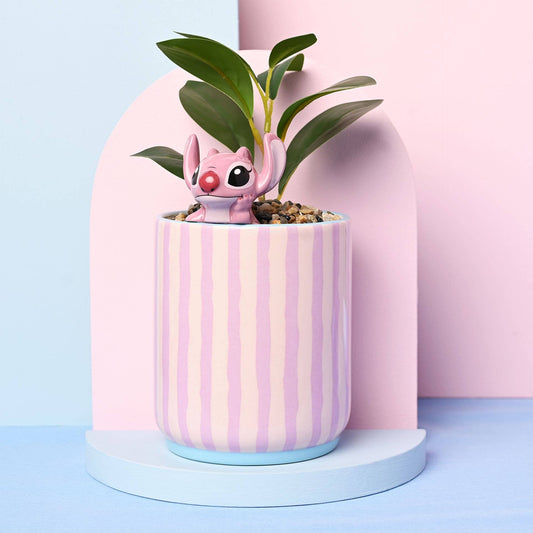 Angel Plantepotte