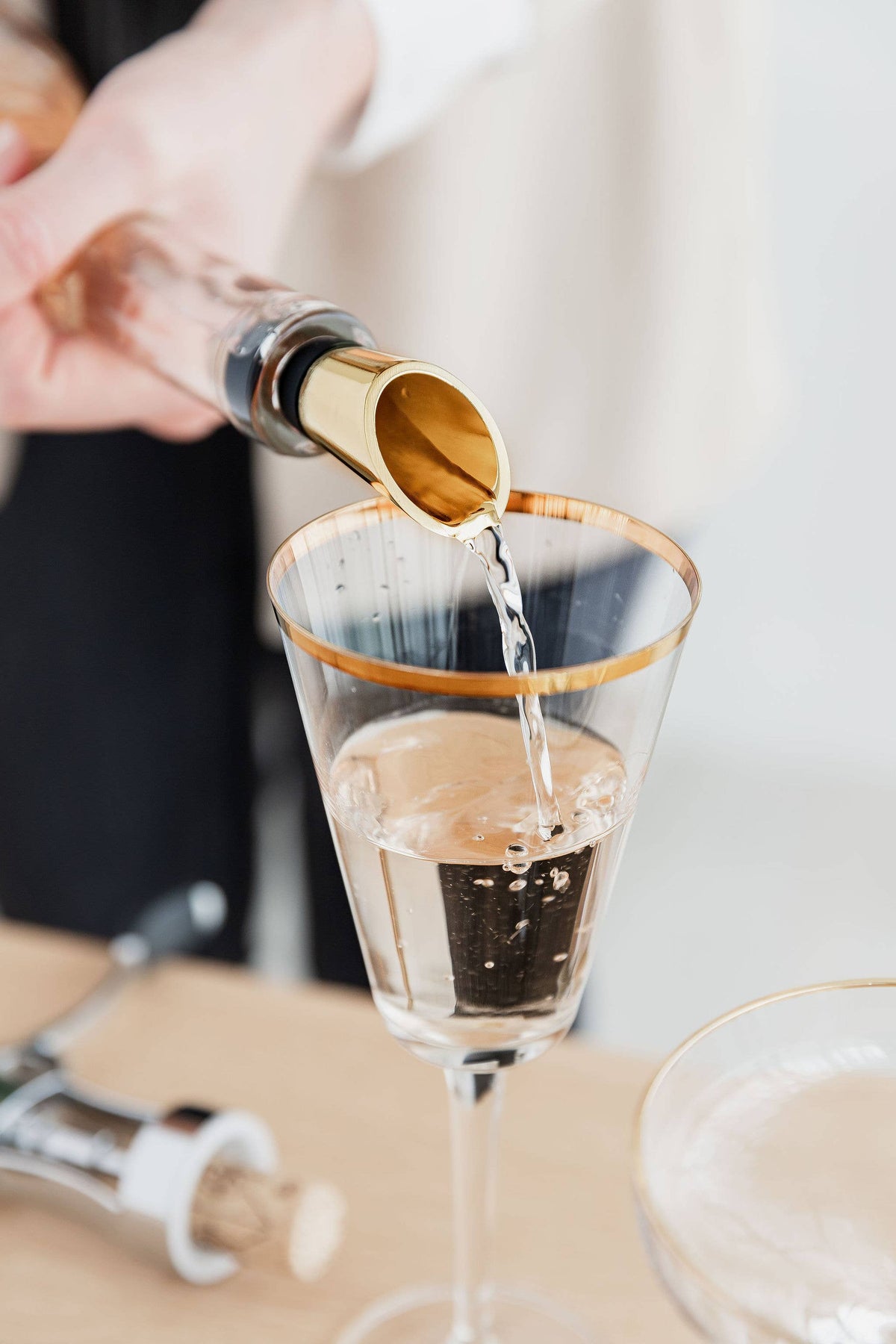Wine Pourer and Stopper Duo Gull