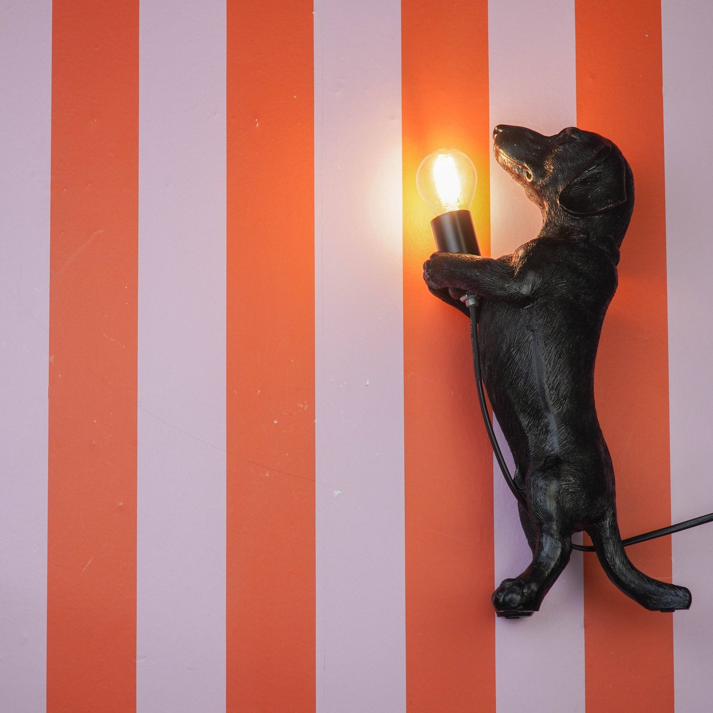 Dachshund Lampe Svart