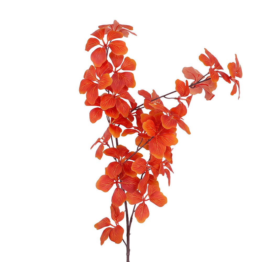 Orange Flower