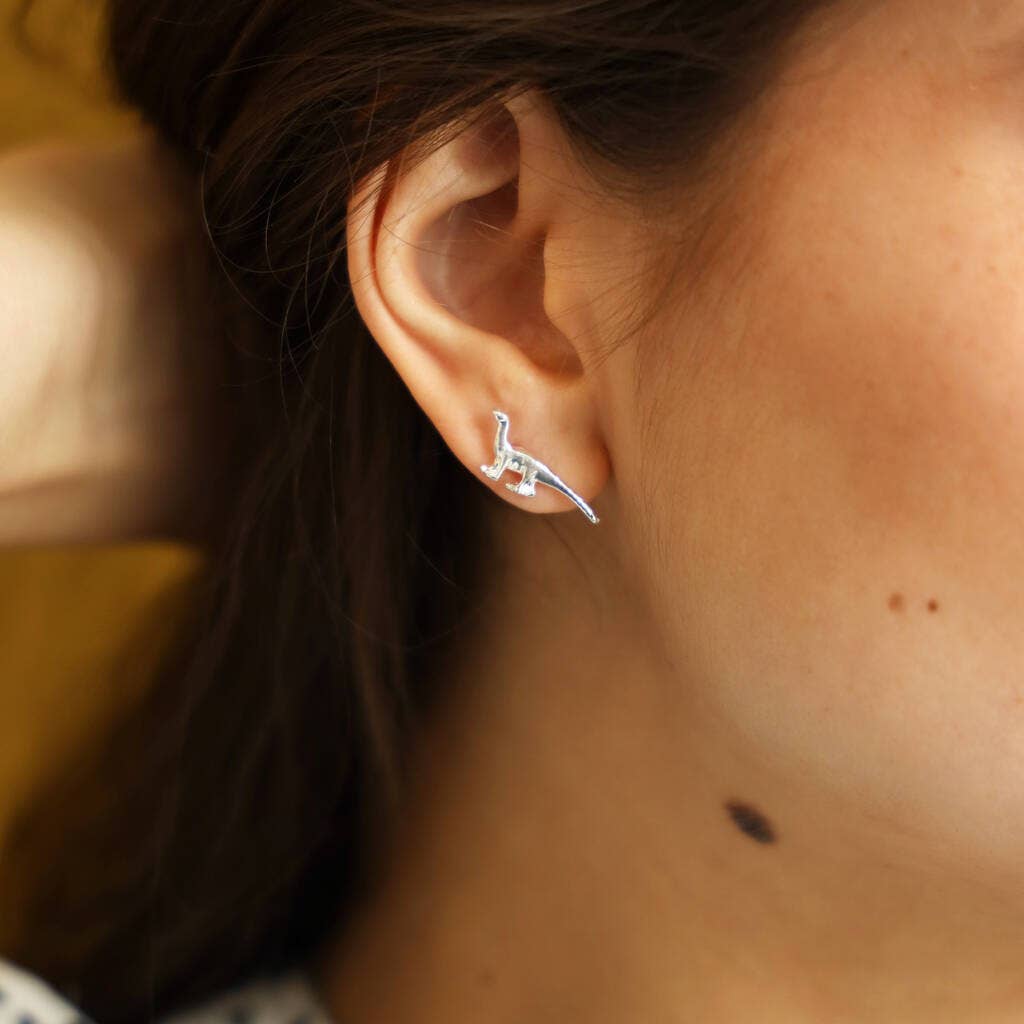 Roarsome Dinosaur Øredobber