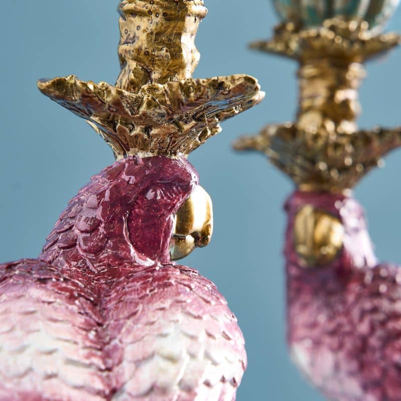 Pink Parrot Lysestake