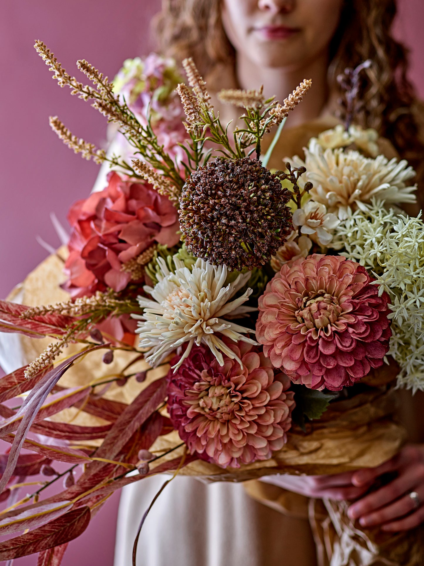 Chrysantemum Stilk, Natur