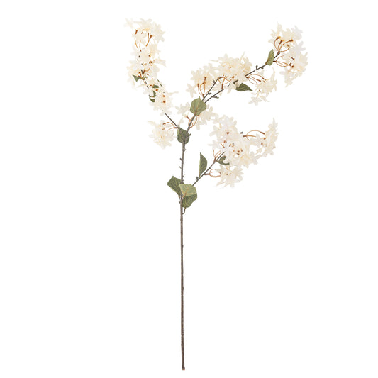 Hvit Myrtle Gren