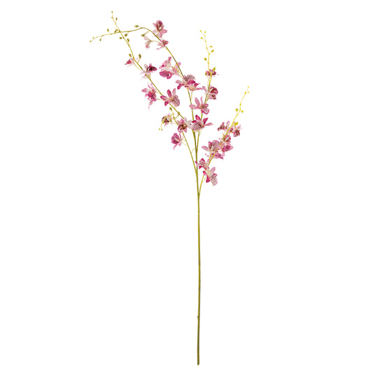 Orkidéstilk rosa