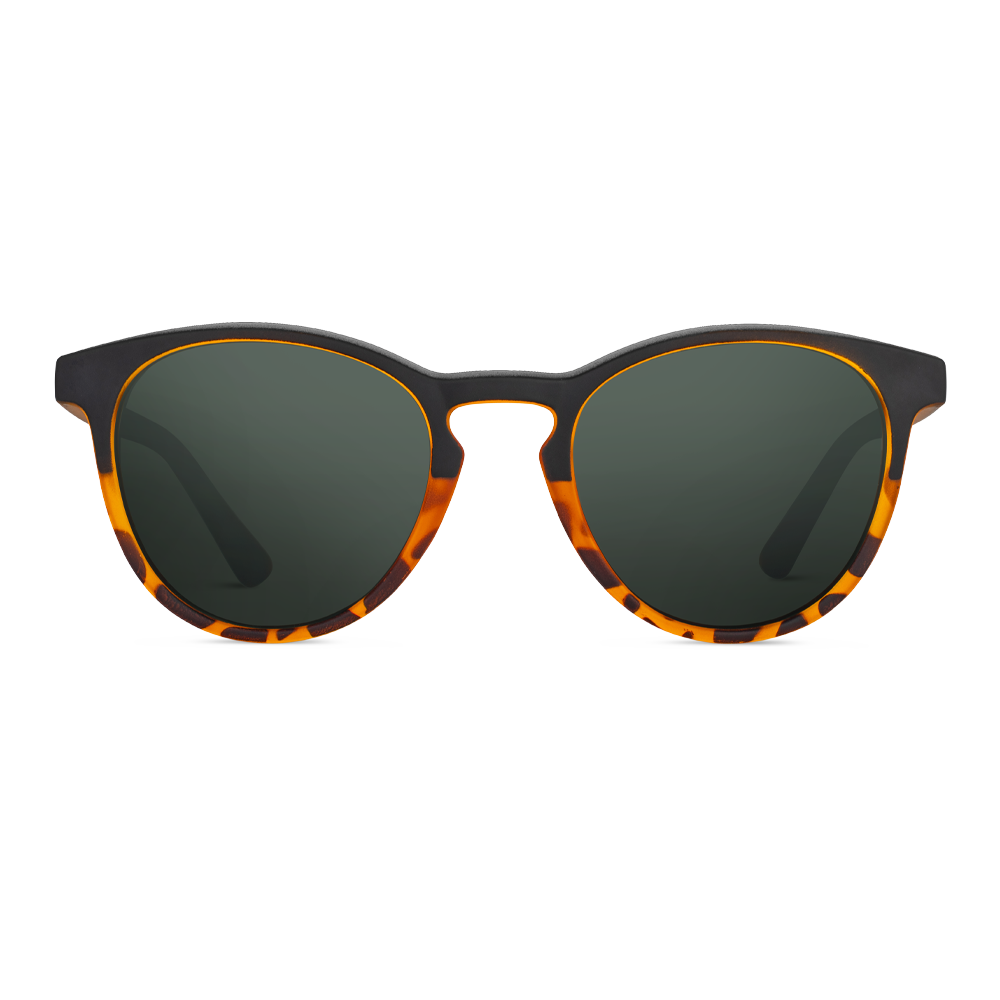 Solbrille Pasteur