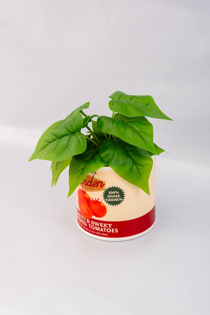 Tomato Can Vase